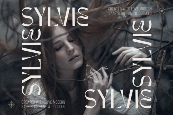 Sylvie: A Display Font That Brings French Elegance to Modern Web Design